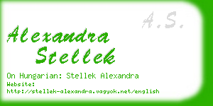 alexandra stellek business card
